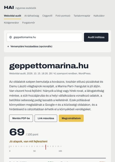 A weboldal-audit eredménylapja, 69 pont